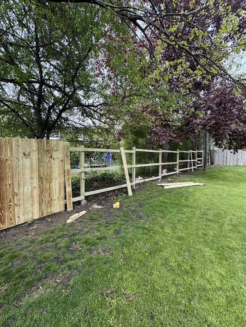 Completed cedar fence